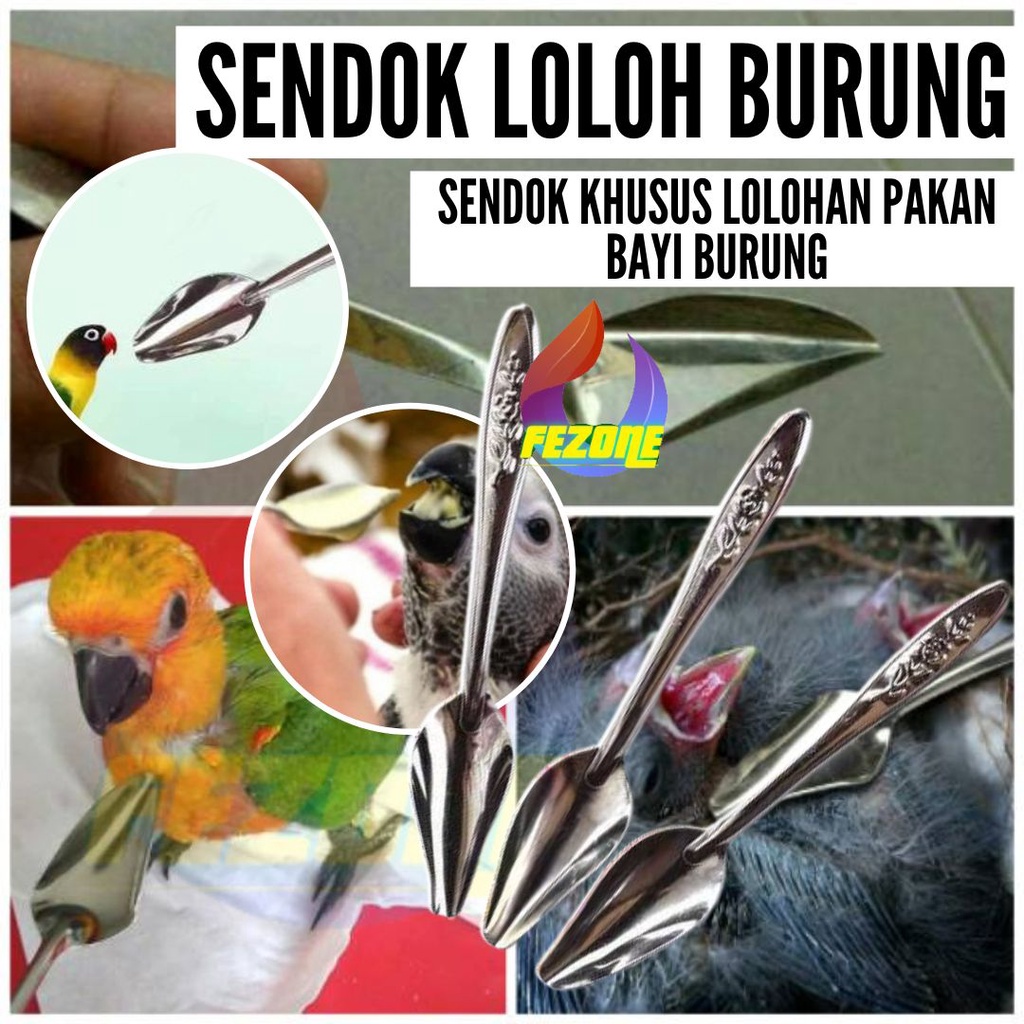 SENDOK LOLOHAN LOLOH MAKAN PAKAN ANAK PIYIK BURUNG LOVEBIRD PARROT FALK NURI KAKATUA MACAU FEZONE