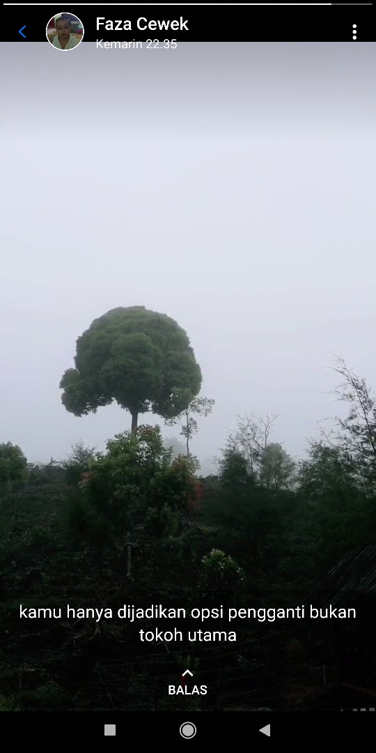 Bloomia Collection Set/blossom Collection Set Tosca