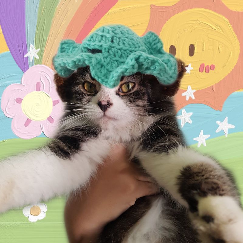 topi kucing rajut handmade-tosca