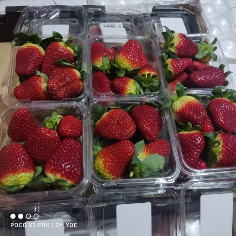 

Strawberry Australia