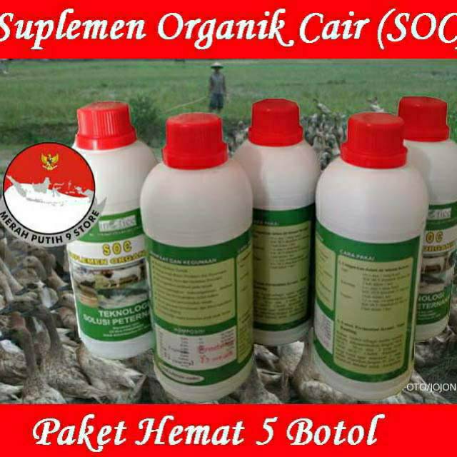 soc hcs suplemen hewan Paket 5 botol terbaik termurah untuk burung ayam lele  bebek
