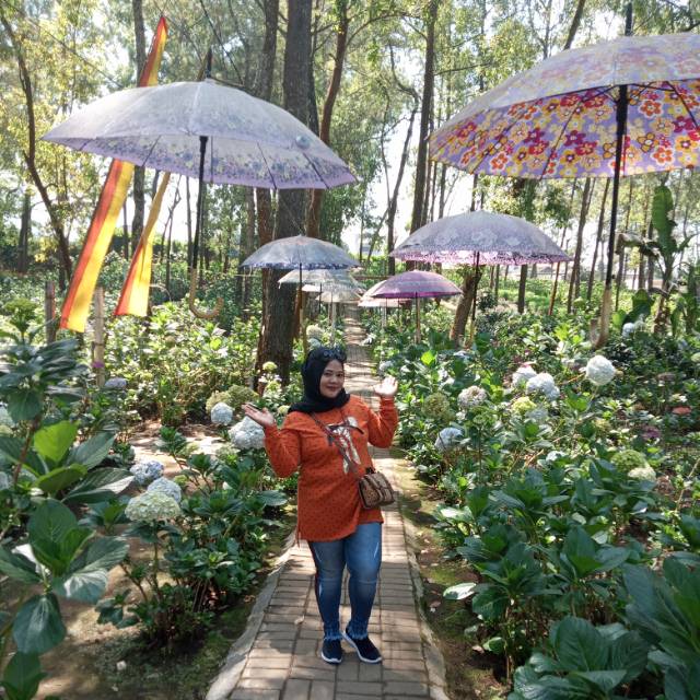 sofiasurabayajombang