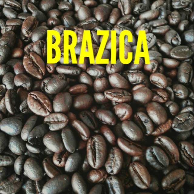 

Kopi Robusta Lampung "BRAZICA" 250 Gram Gold Quality (Biji / Bubuk)