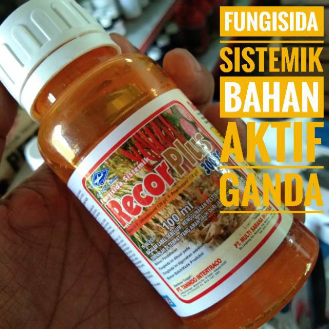 Obral Fungisida Sistemik Berbahan Aktif Ganda Recor Plus 300 EC kemasan 100 ml
