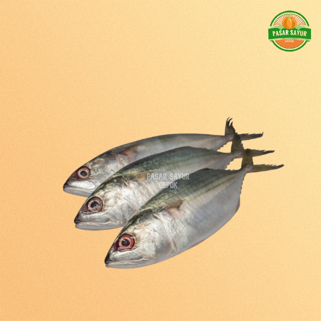 

Ikan kembung segar 500 gram murah segar dan lengkap