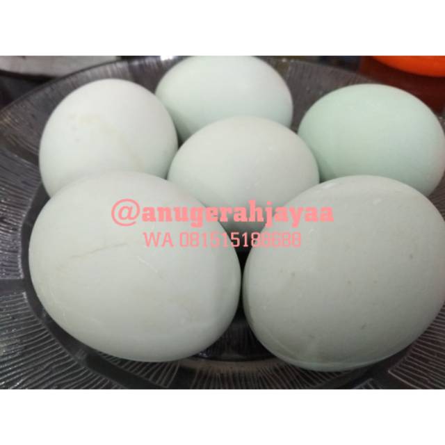 

Murahh!! Telor asin per biji (go send only)