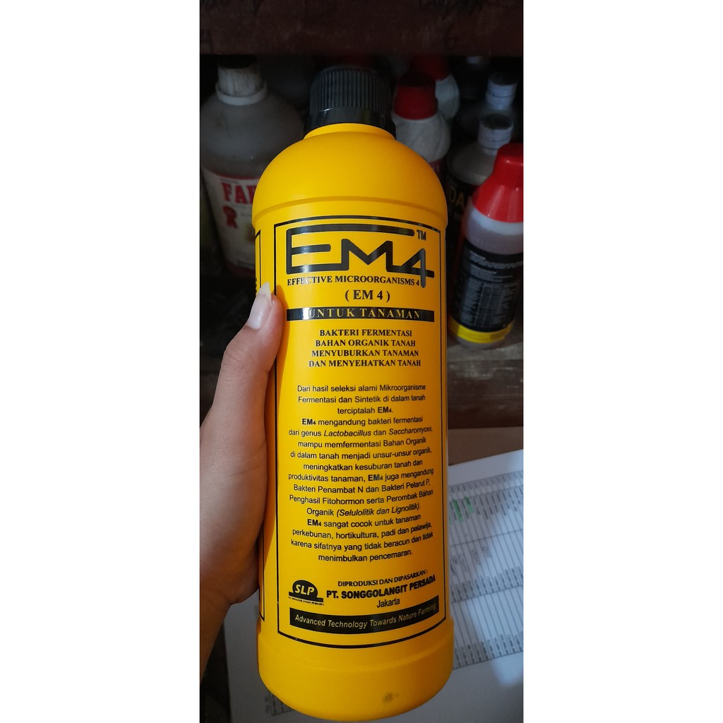 Pupuk cair Em4 pertanian