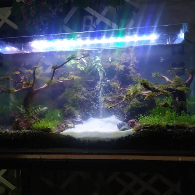 Aquascape waterfall