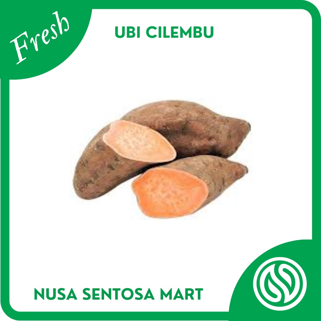 

Ubi Cilembu Segar – 1 Kg