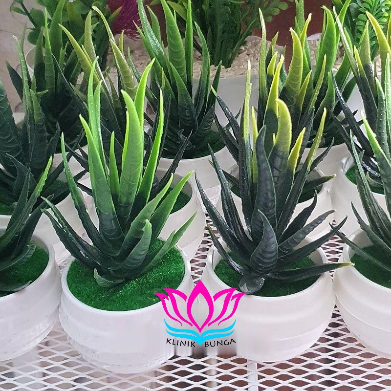 Kaktus Mini Lidah Buaya / Kaktus Plastik