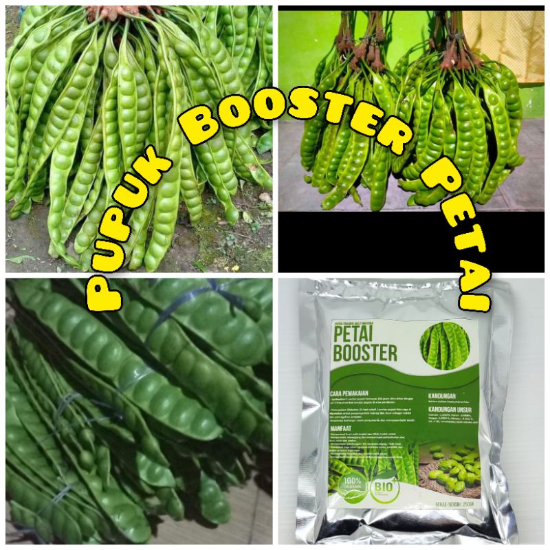 Pupuk booster PetaiMurah Pupuk booster buah organik non kimia pupuk cair kilat npk urea merah peleba