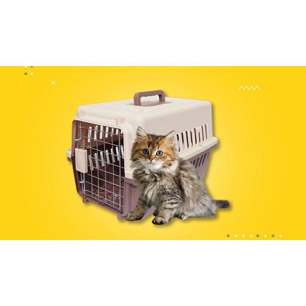 Pet Cargo Kandang Anjing Kucing