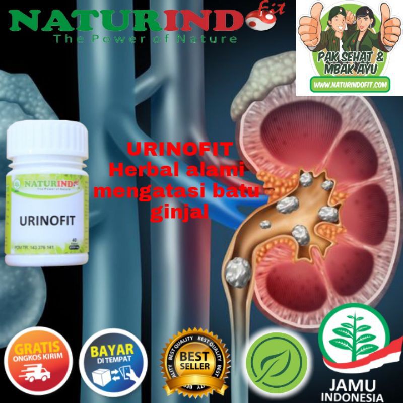 

URINOFIT (Jamu Herbal Spesialis Ginjal)