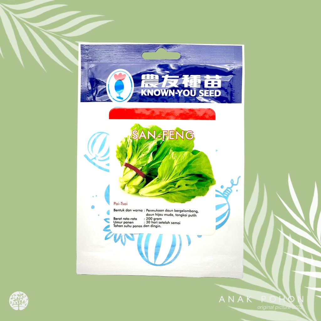 (1 PACK) Benih Sawi Samhong King SAN FENG Pak Choy Pai-Tsai SANFENG Seeds - Known You Seed KYS - 10 GRAM