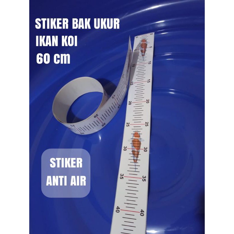 Stiker bak ukur ikan koi 60cm