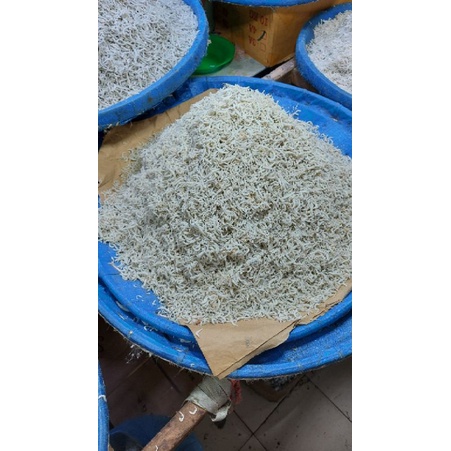 

Teri Nasi
