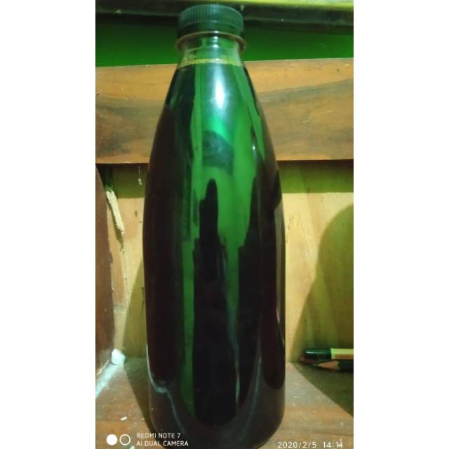 

Madu Klanceng Asli