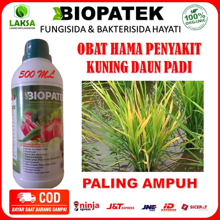 PROMO Biopatek Obat Semprot Hama Kuning Daun Padi - Biopatek Obat Hama Padi Paling Ampuh - Biopatek 