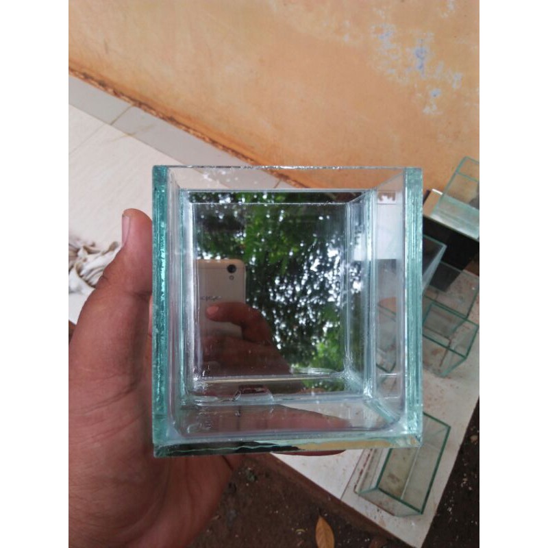SOLITER MINI CERMIN CUPANG soliter cupang aquarium cupang soliter selfi