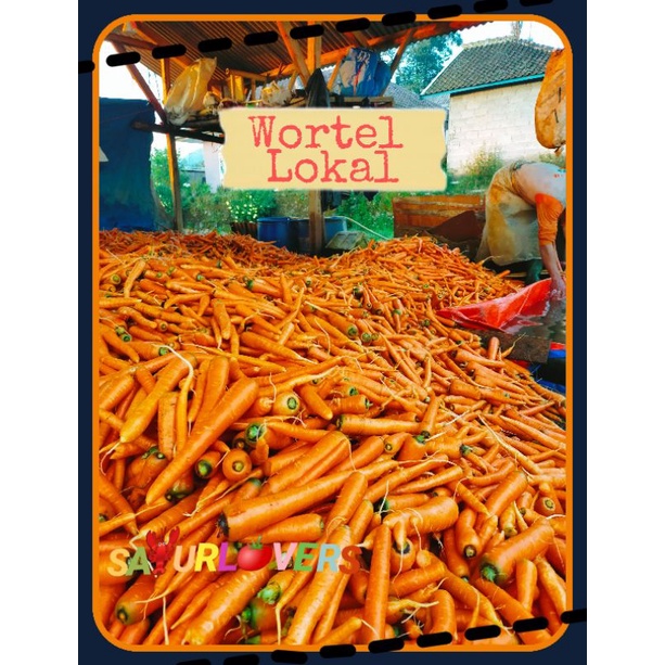 

Wortel Lokal Fresh SayurLovers