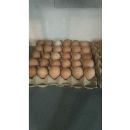 

Telur Ayam Curah