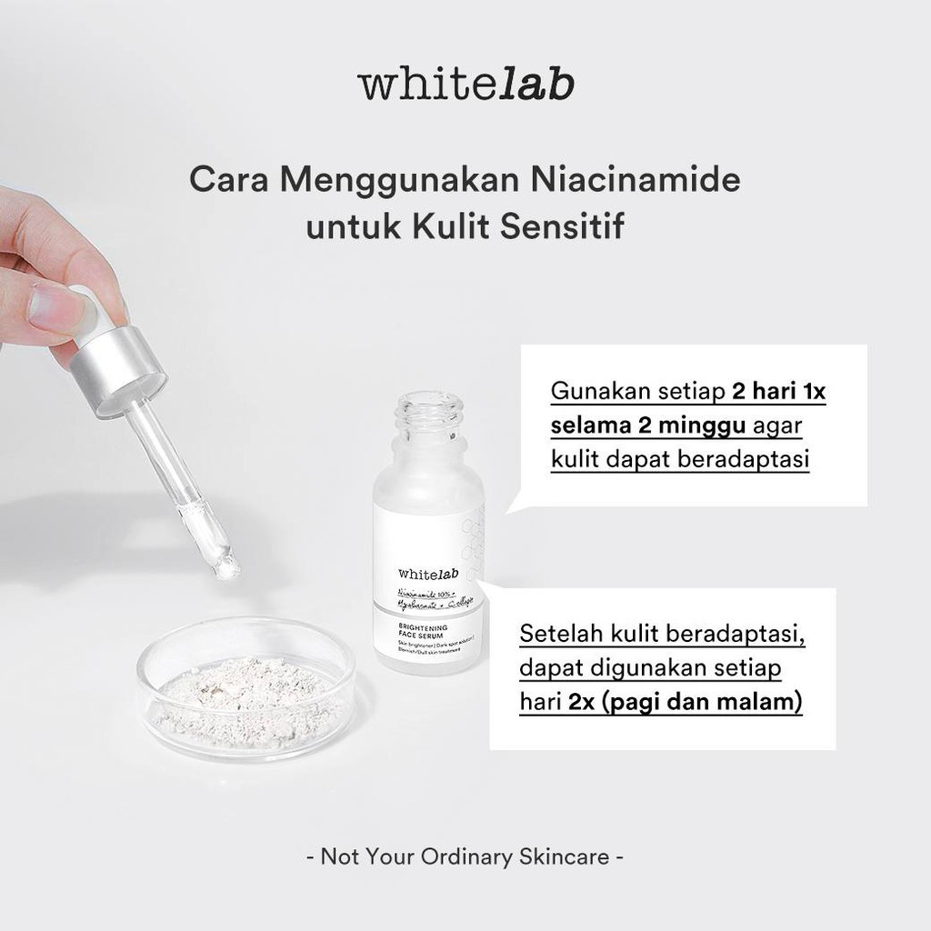WhiteLab Brightening Series Face Body Serum Facial Wash Day Night Cream White Lab