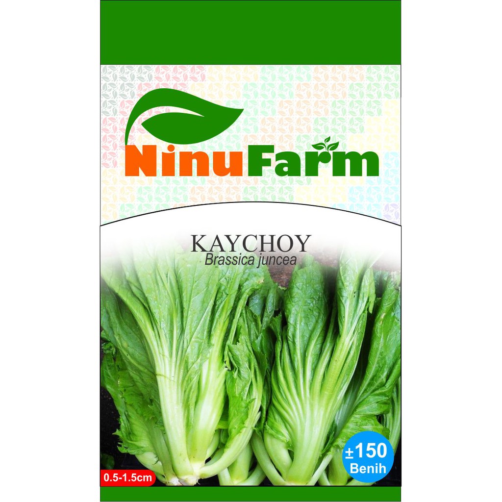 Benih Kaychoy/Headed Mustard Jabung Sawi Pahit 150Seeds