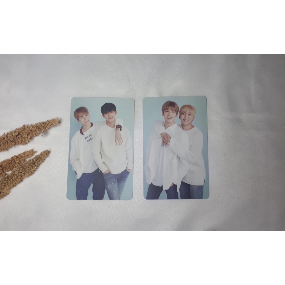 Seventeen Caratland 2018 tc pc Wonwoo Mingyu Seungkwan Vernon