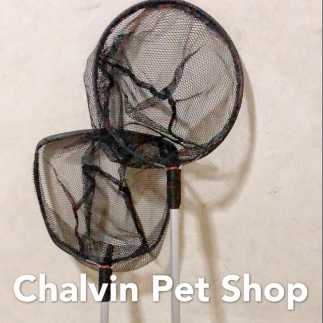 Serokan Ikan Hitam Panjang