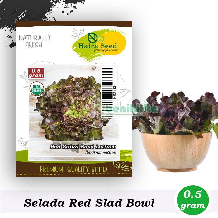 Benih-Bibit Selada Keriting Merah Red Salad Bowl (Haira Seed)