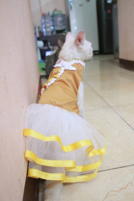 Dress shanghai gold imlek 2019 dress lucu untuk kucing dan anjing size S M L XL