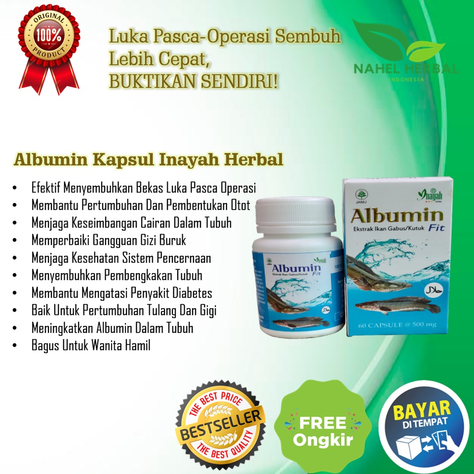 [Ready Stock] Terlaris Kapsul Kutuk Albumin Minyak Ikan Gabus Asli 100 % Original - Termurah Obat