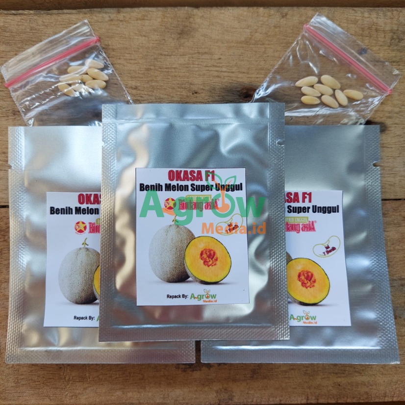 [ORIGINAL] 7 Benih F1 Melon Daging Kuning / Orange Okasa F1 Bintang Asia Biji Bibit Golden Honey Mel