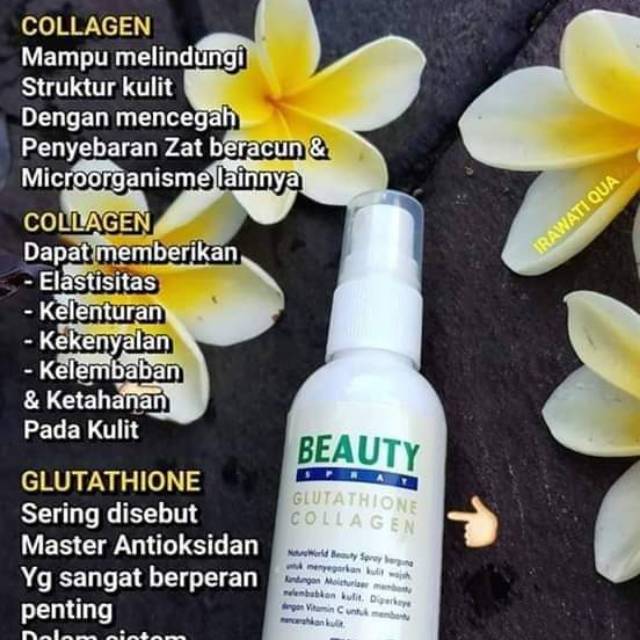 BEAUTY semprot wajah