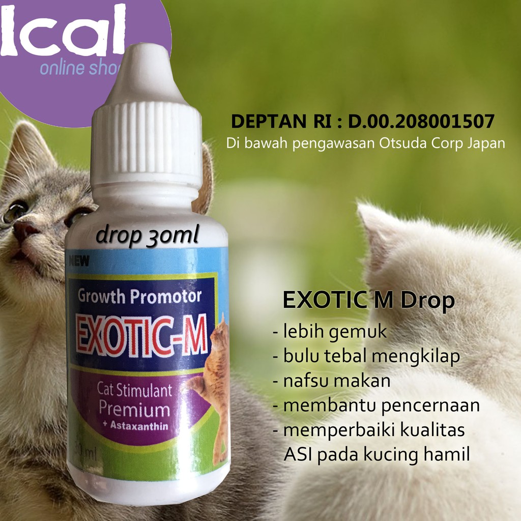 Vitamin Kucing Exotic M Drop Baik Untuk Kitten Dan Kucing Hamil