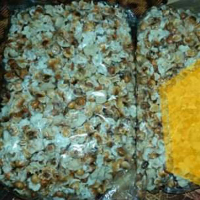 

Jagung PaLotan (mekkar)