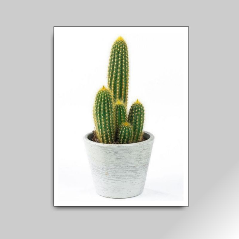 Hiasan Dinding kaktus wall decor pajangan dinding minimalis