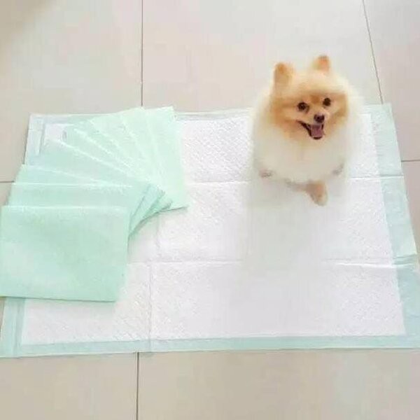 Underpad 60x90 Perlak Pee Pad Alas Pipis Toilet Training Kucing Anjing