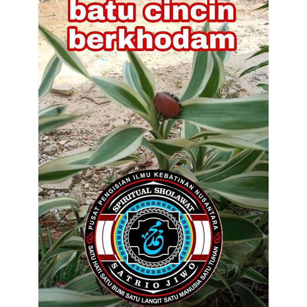 batu cincin berkhodam, tuah alam