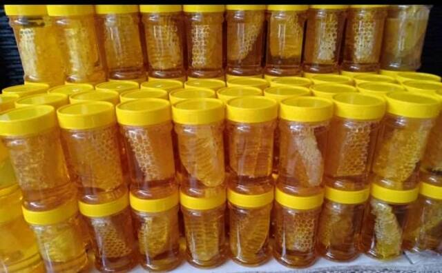 

SARANG MADU, MADU SARANG, SARANG MADU MURAH