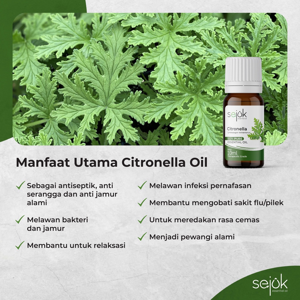 Sejuk Citronella Essential Oil / Minyak Aromaterapi Pure 10 ml
