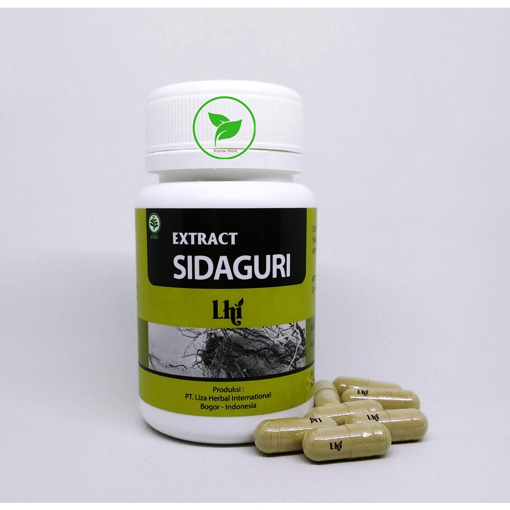 Sidaguri Kapsul Ekstrak Liza Herbal Untuk Asam Urat