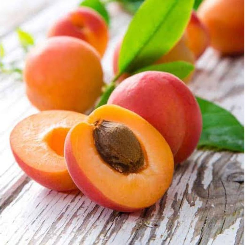 Benih Biji Buah Aprikot sangat langka
