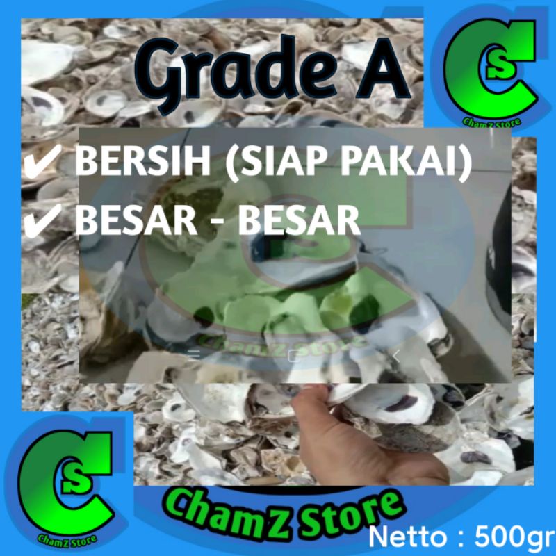 Oyster / Media filter oyster grade A / Oyster shell kulit kerang tiram