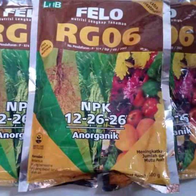 Felo RG 06 pupuk mempercepat muncul buah