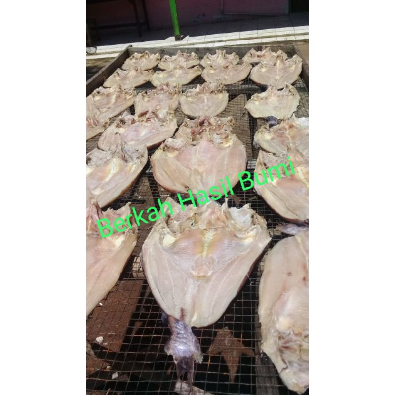

Asin Jambal Roti Super Khas Pangandaran