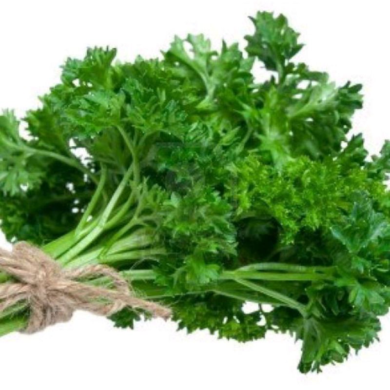 

PETERSELI/PARSLEY