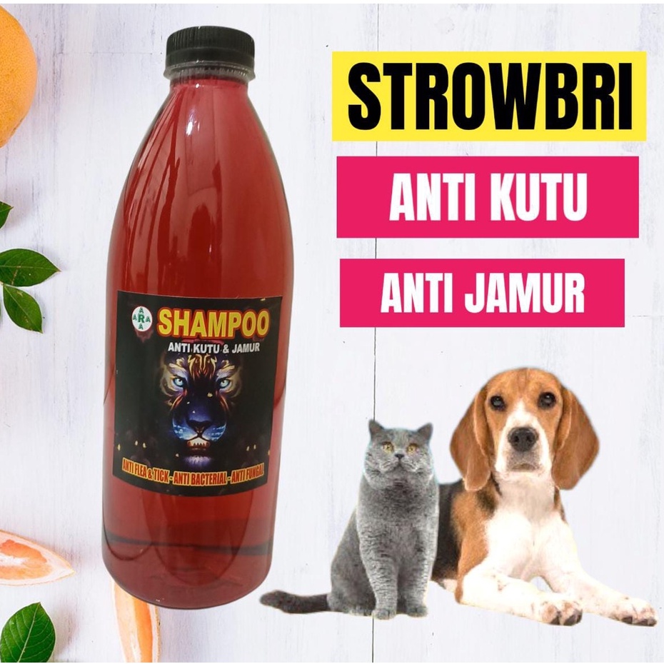 SAMPO KUCING/ANJING 600 ML ANTI KUTU JAMUR DAN MENCEGAH RONTOK