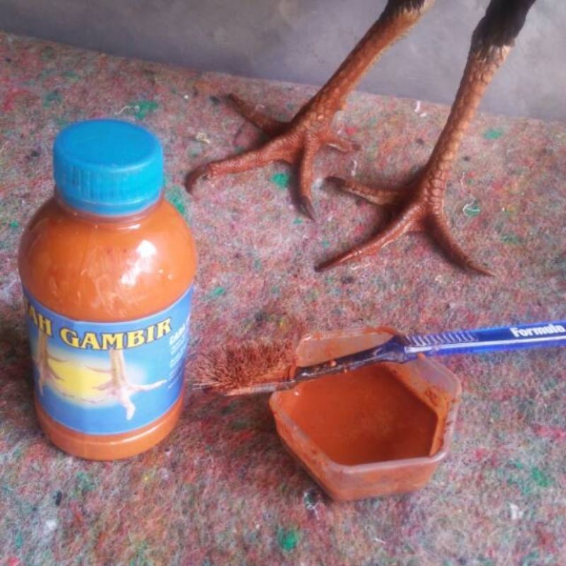 GETAH GAMBIR - pengeras kaki ayam