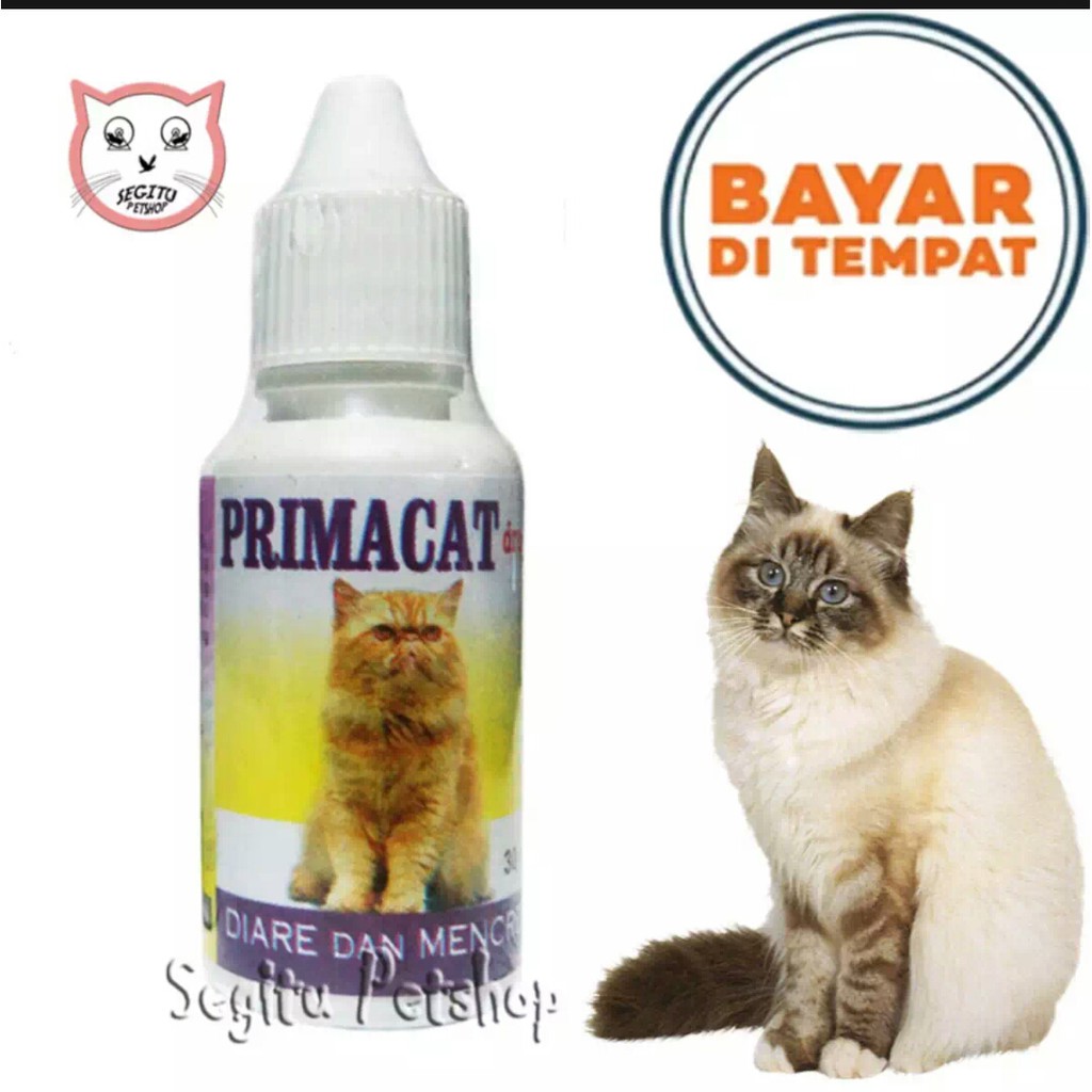 PRIMACAT OBAT MENCRET DIARE INFEKSI PENCERNAAN KUCING